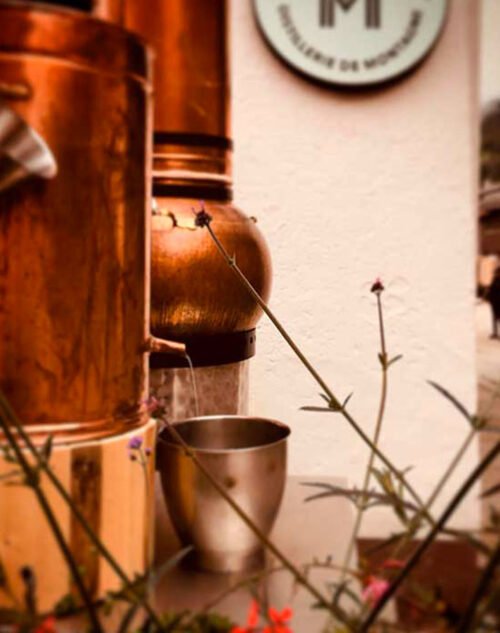 Photo de l'alambic en cuivre à l'extérieur de la distillerie de montagne Maison M