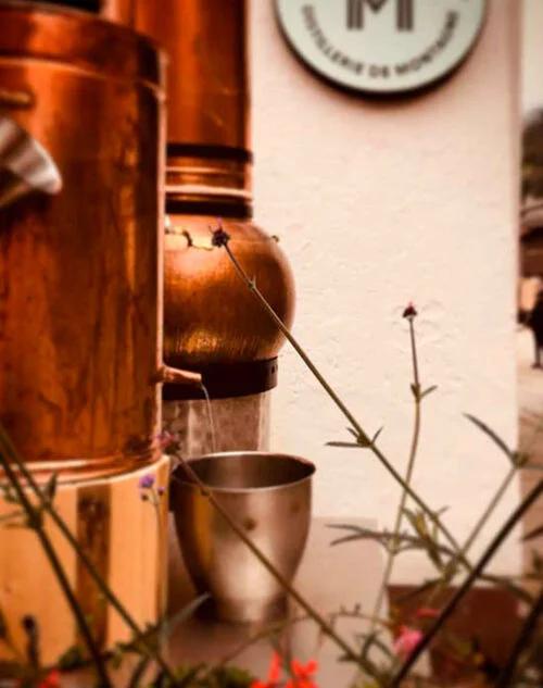 Photo de l'alambic en cuivre à l'extérieur de la distillerie de montagne Maison M