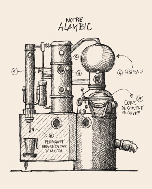 alambic en illustration