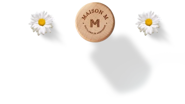 marguerite et bouchons maison m