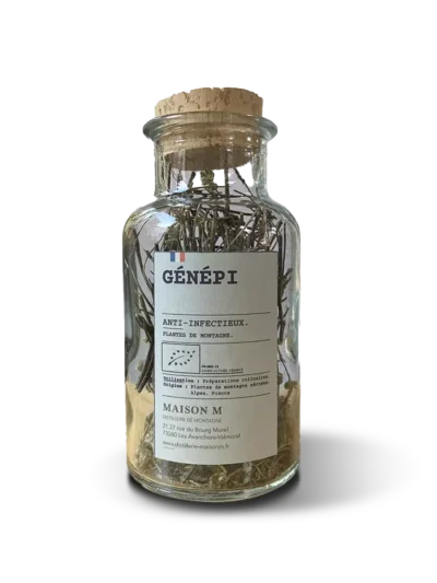 photo de l'infusion Maison M génépi