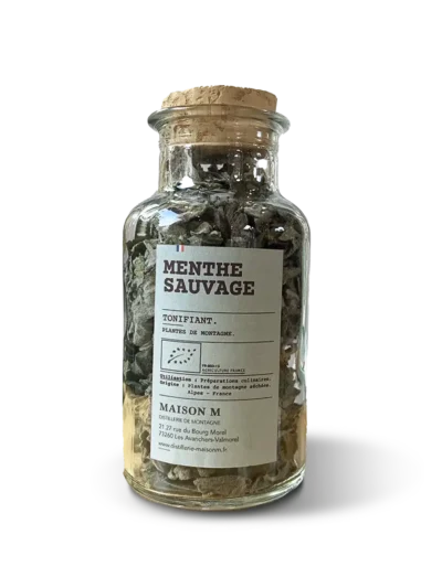 photo de l'infusion Maison M menthe sauvage