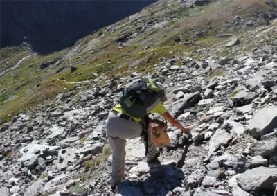un homme en train de cueillir du génépi en montagne