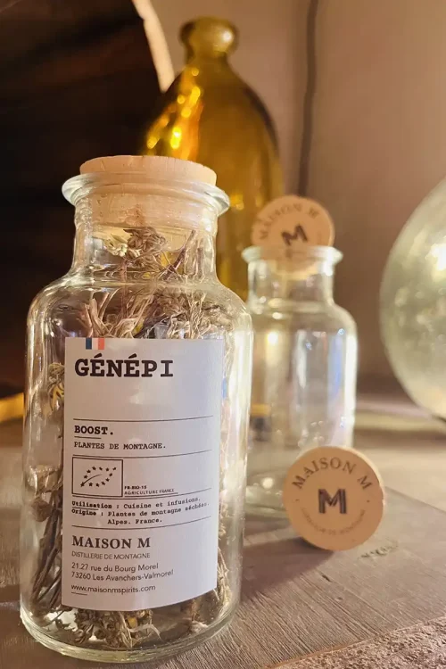 photo de l'infusion génépi de Maison M